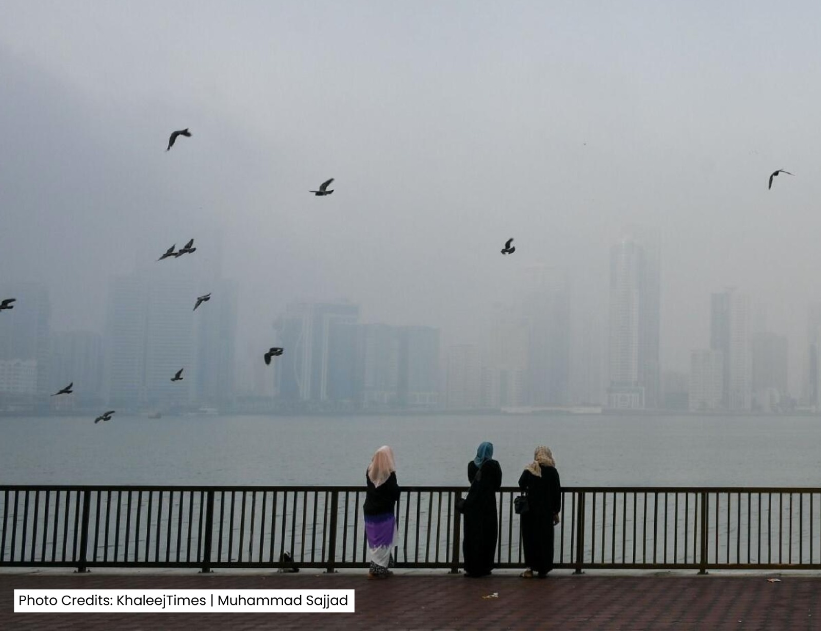 Forecast: UAE Braces for Heavy Rainfall in Northern and Eastern Regions